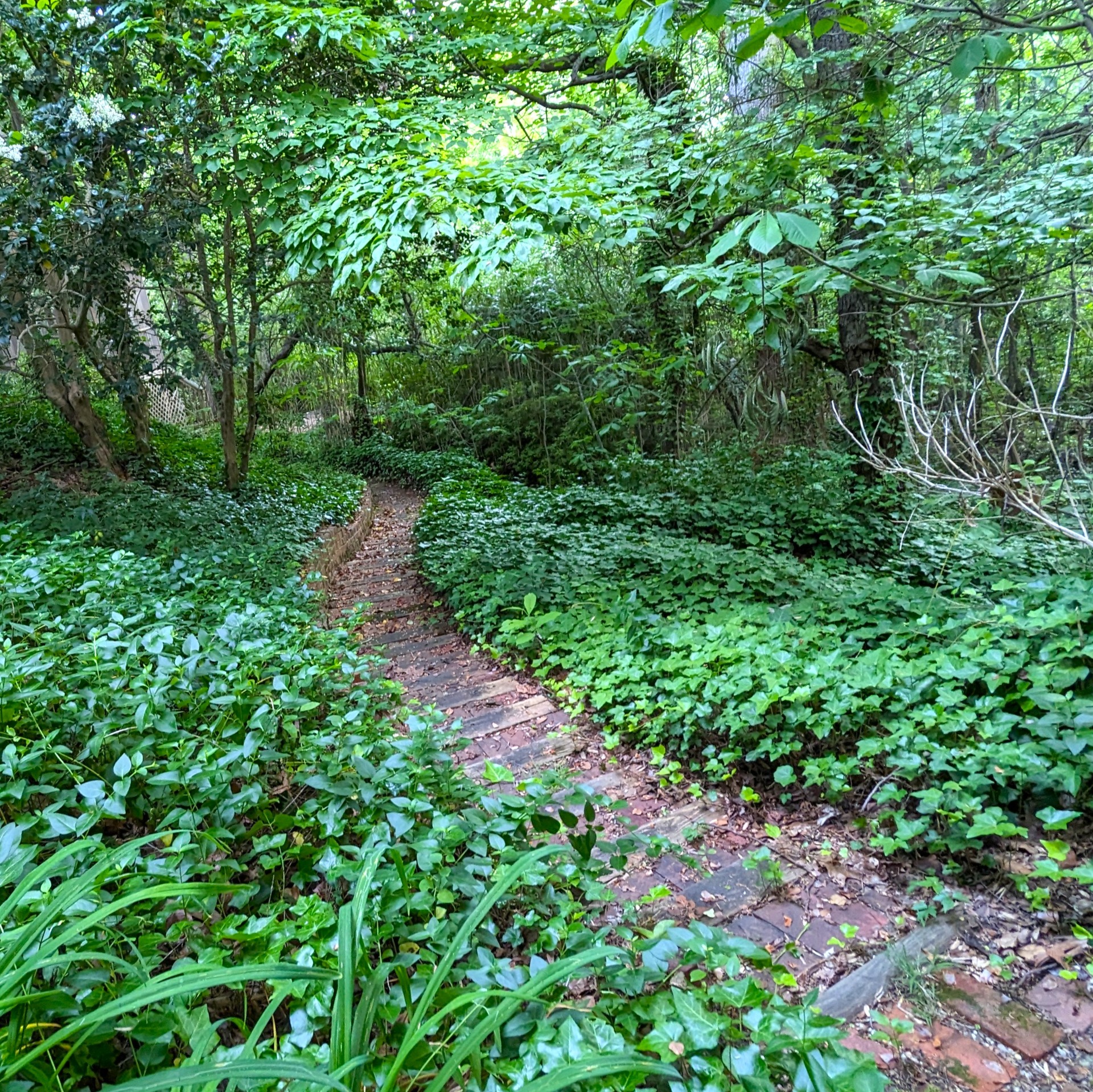 <ミステリーツアー>