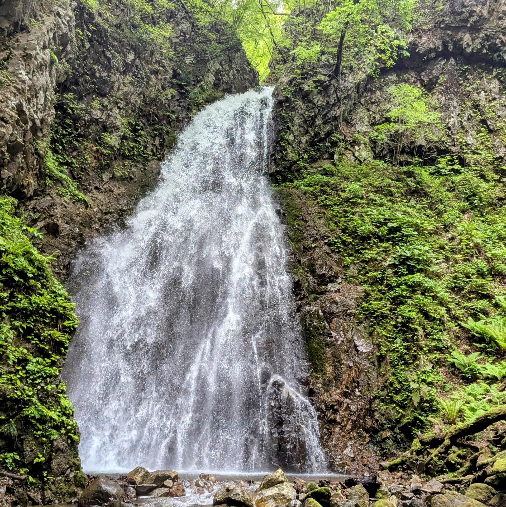 <瞑想会と滝行>